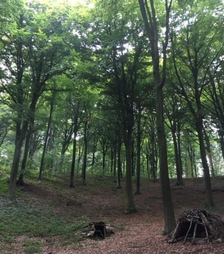 vakantiehuis vlaamse ardennen boswandeling