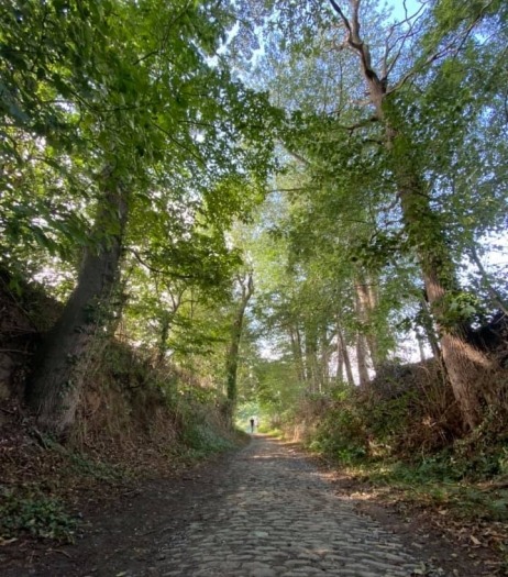 vakantiehuis-vlaamse-ardennen-kasseistrook-bos